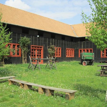 Nyirfaliget Lovaskemping Es Turistahaz Hotell Nyíregyháza Exteriör bild